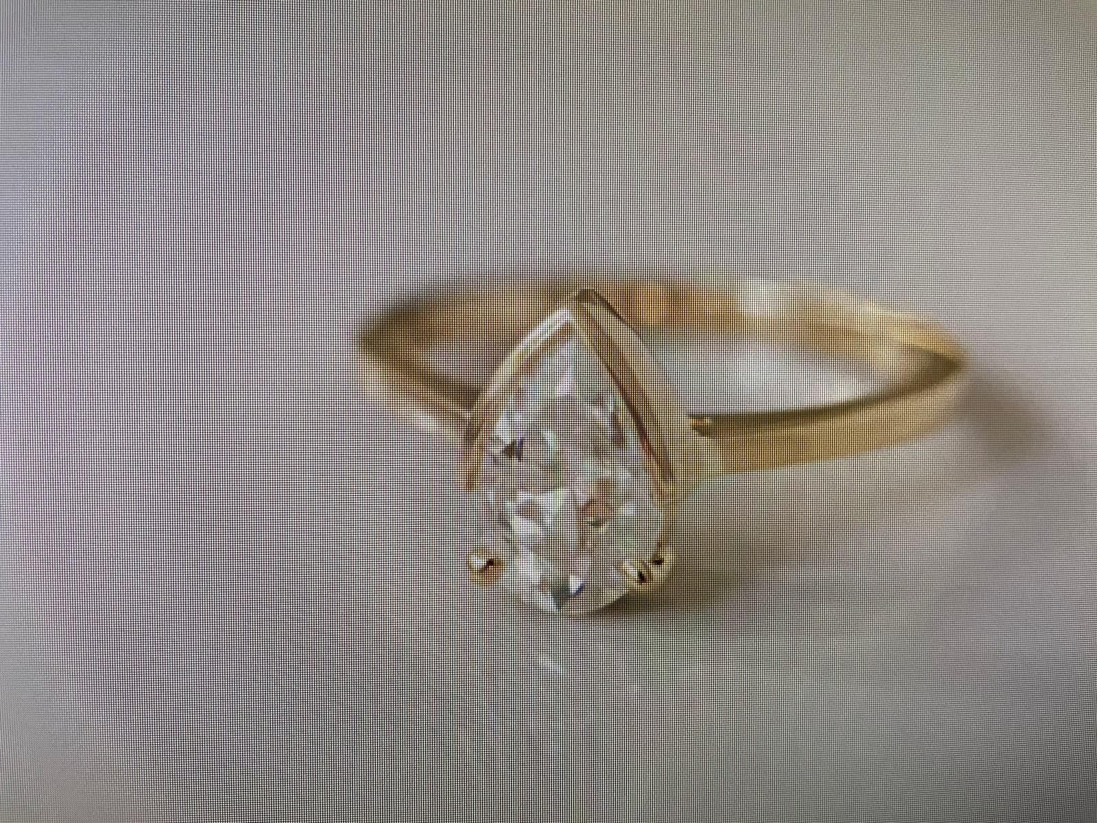 A diamond piece sourced and set by Cool Blue Diamond